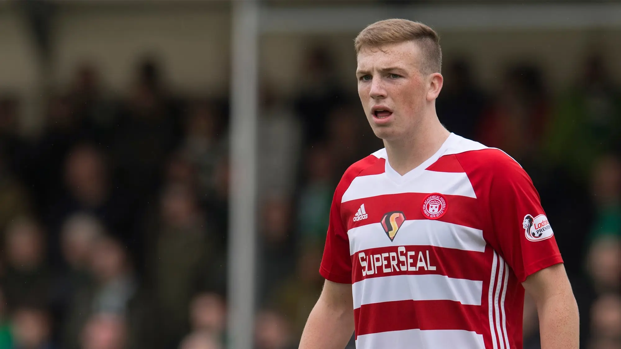 Lewis Ferguson agrees pre-contract