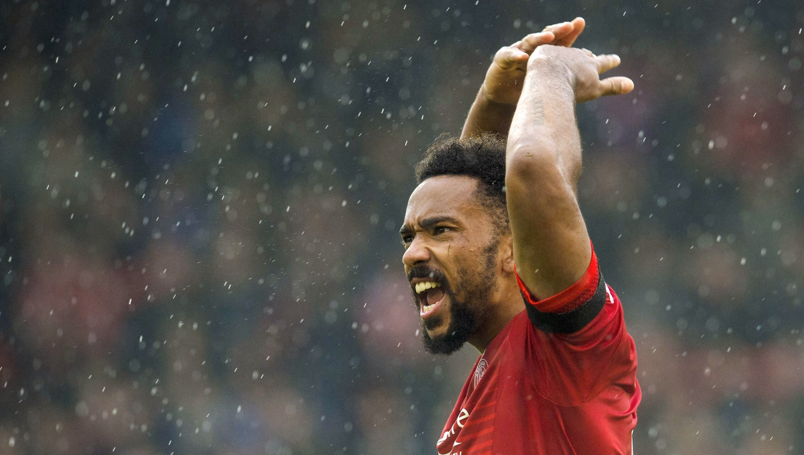 Shay Logan | Hamilton Preview
