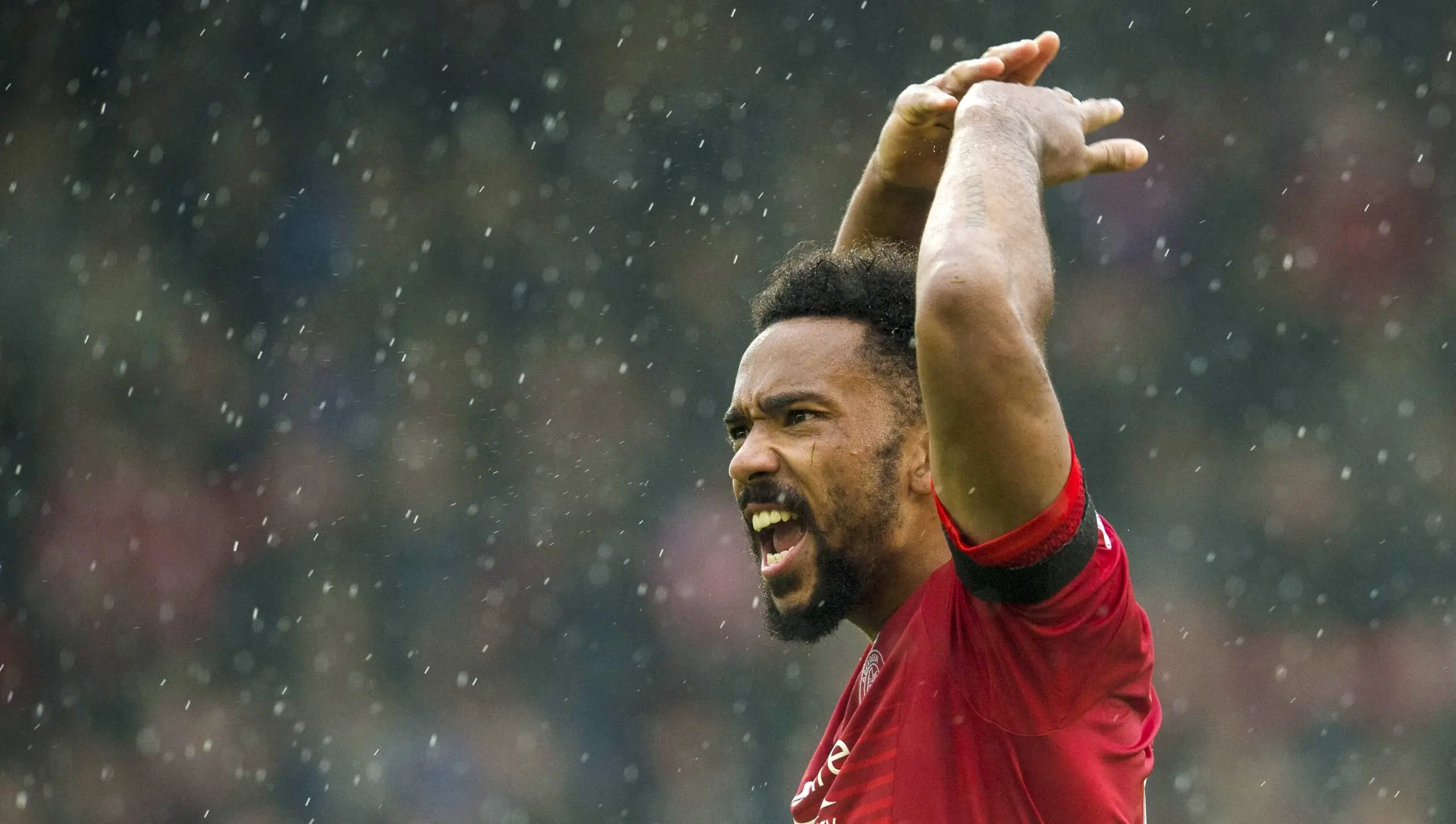 Shay Logan | Hamilton Preview