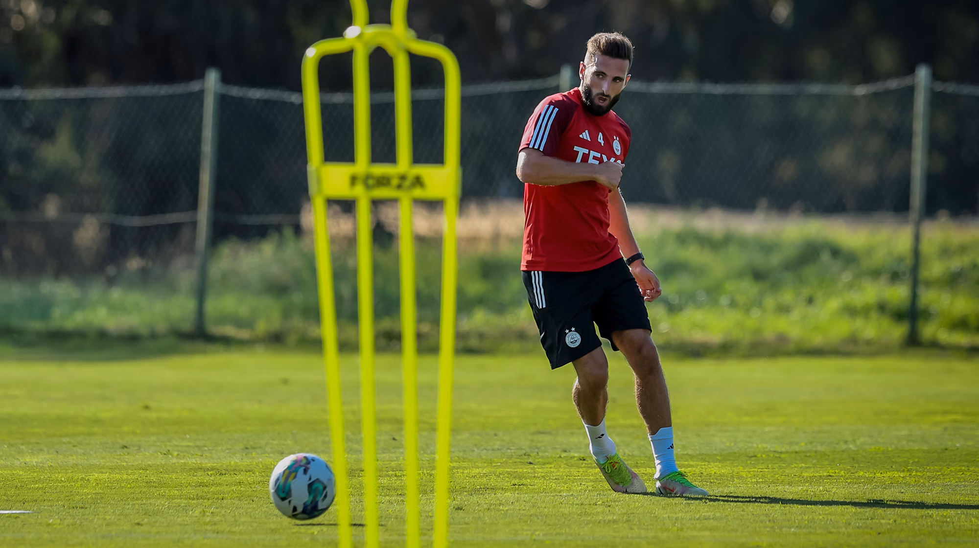 Pre-Season Plans