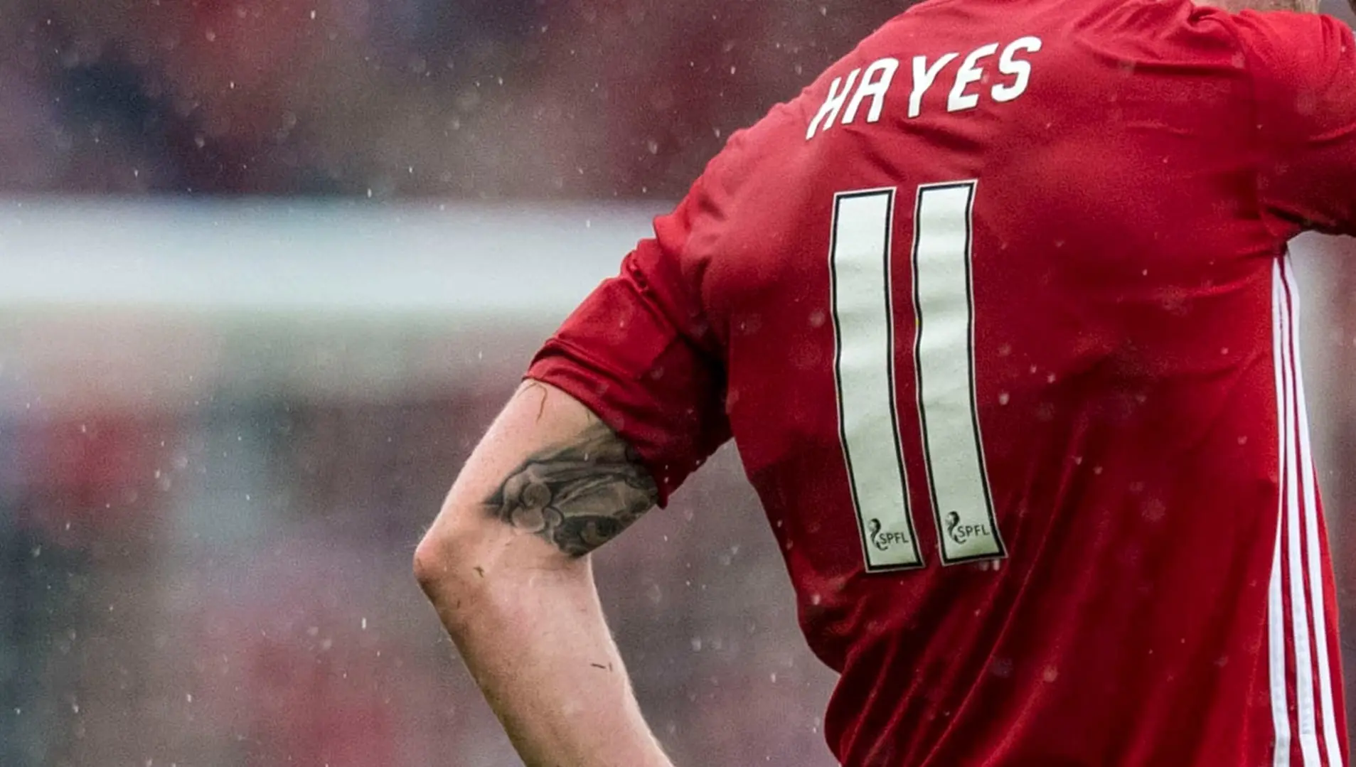 Jonny Hayes: Replacement 2017/18 Home Kits