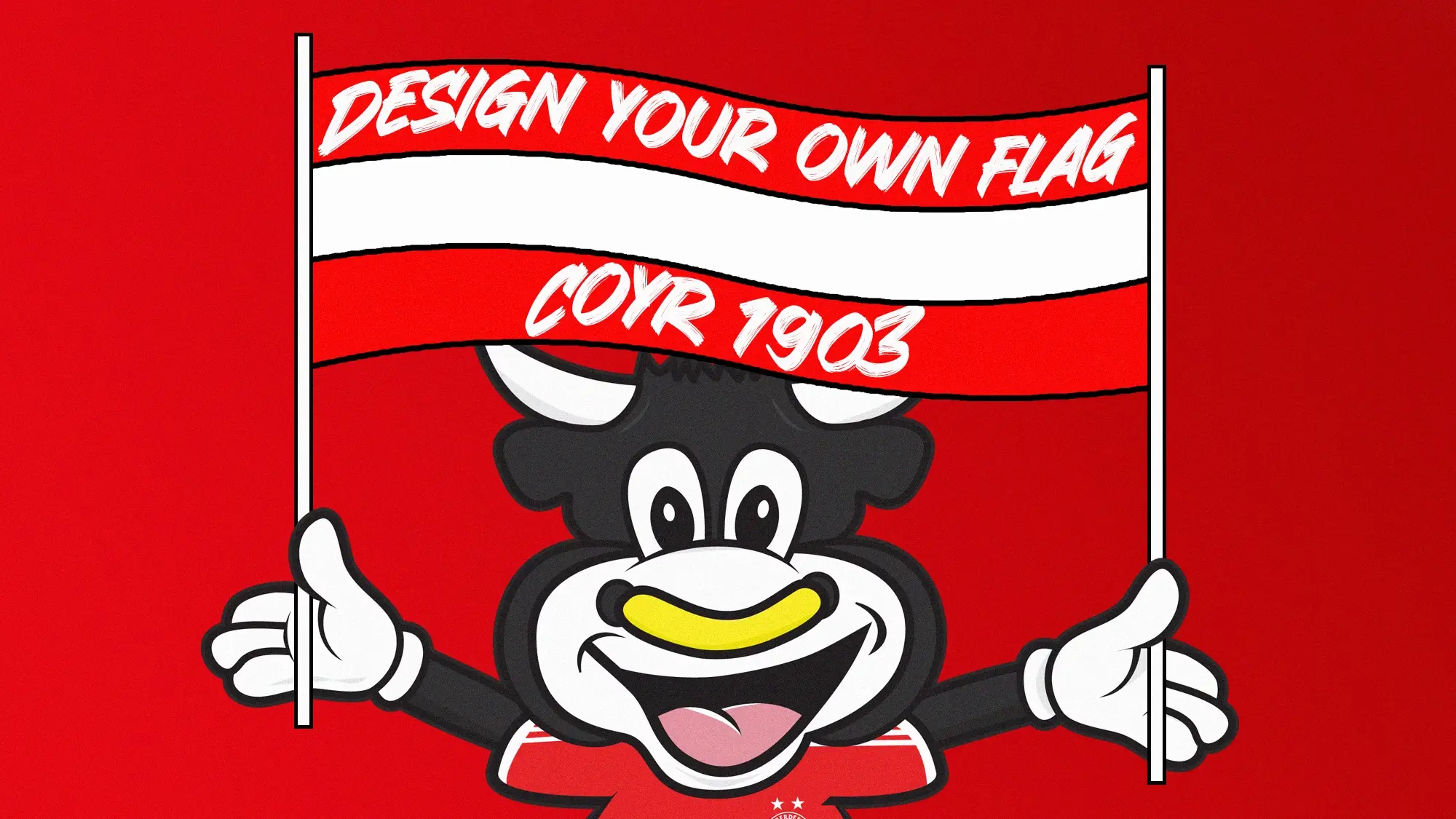 Design your own flag for Pittodrie! image