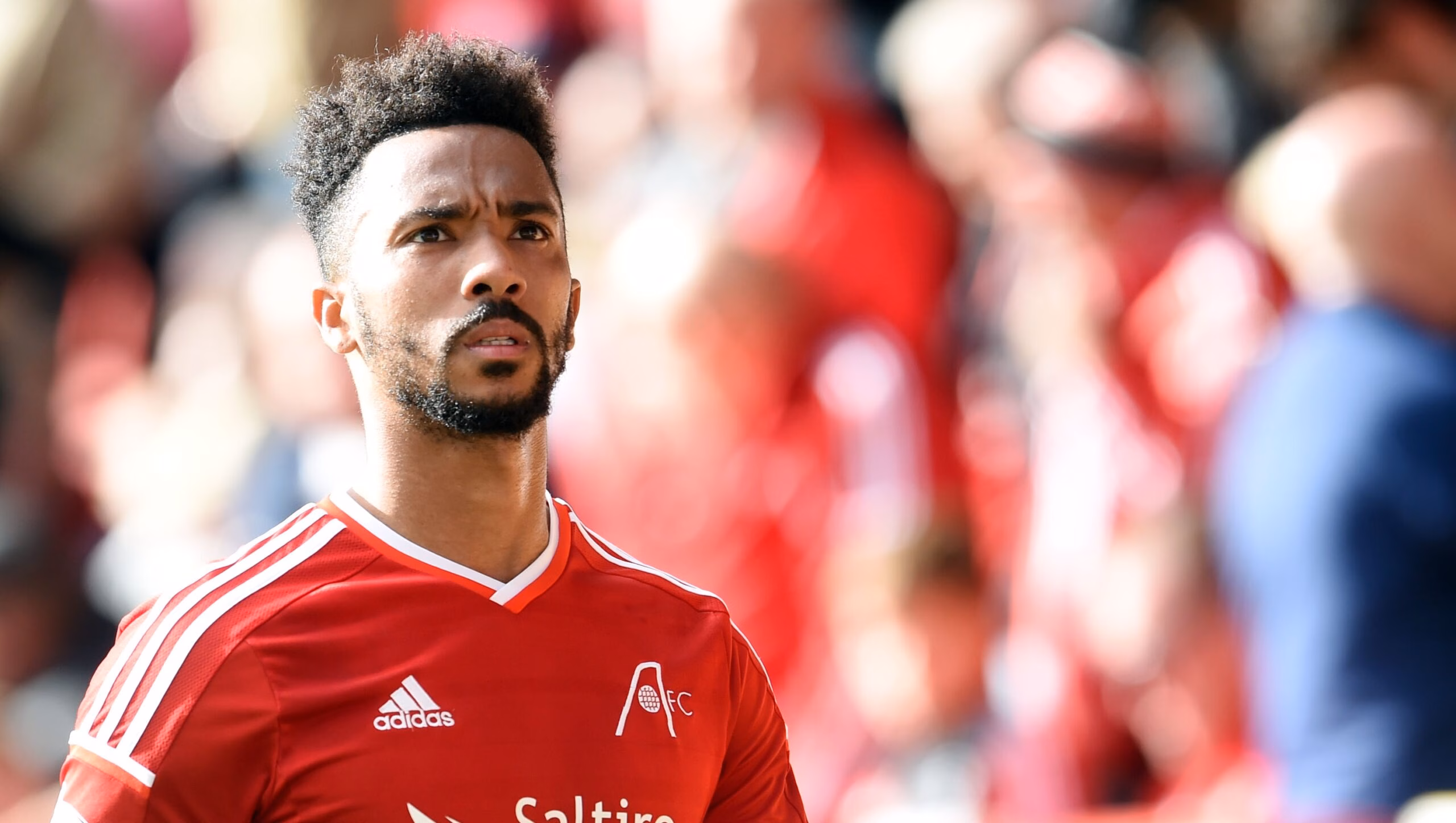 Shay Logan on RedTV