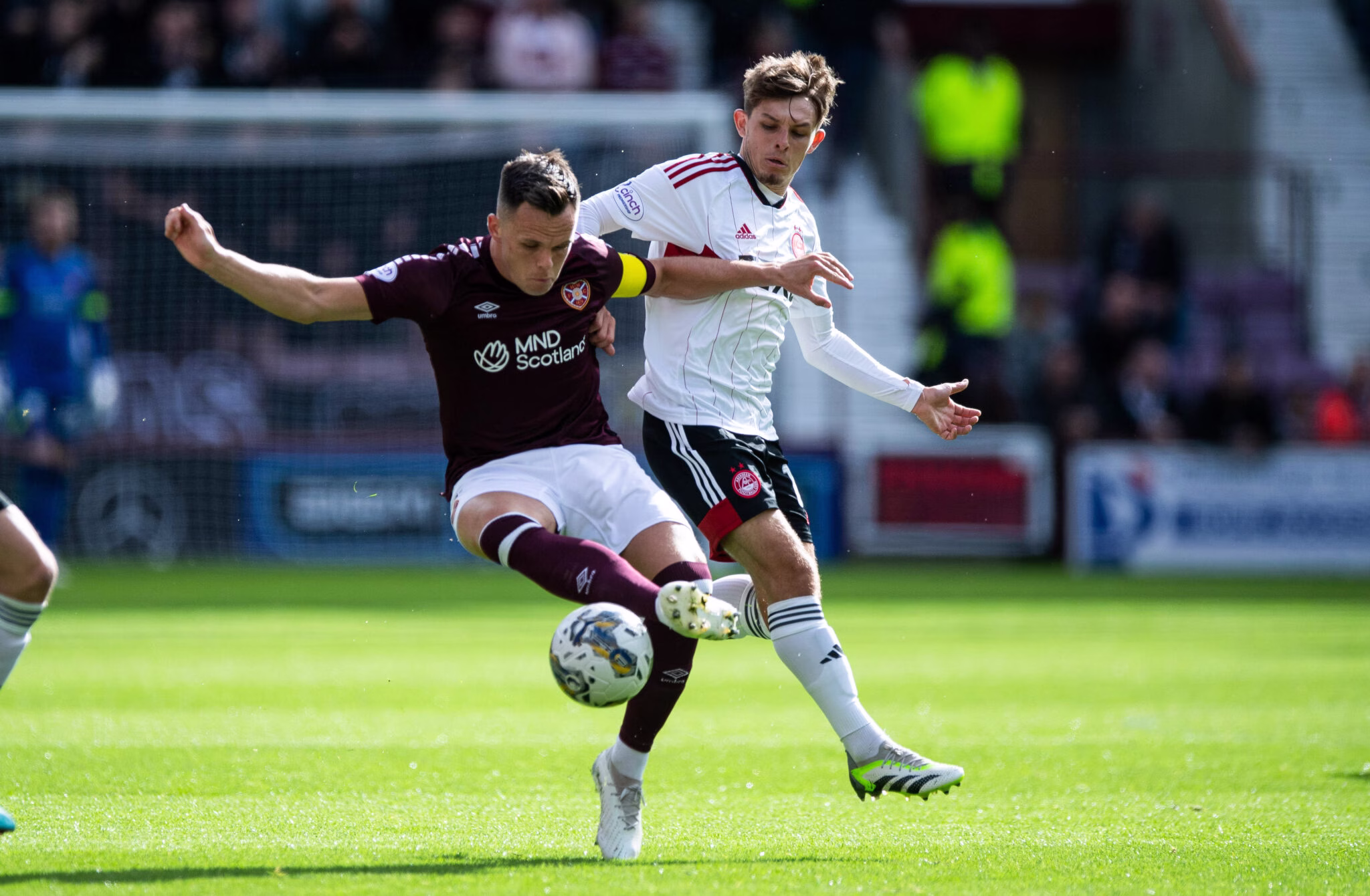 Gallery | Matchday 8 Hearts v Aberdeen image