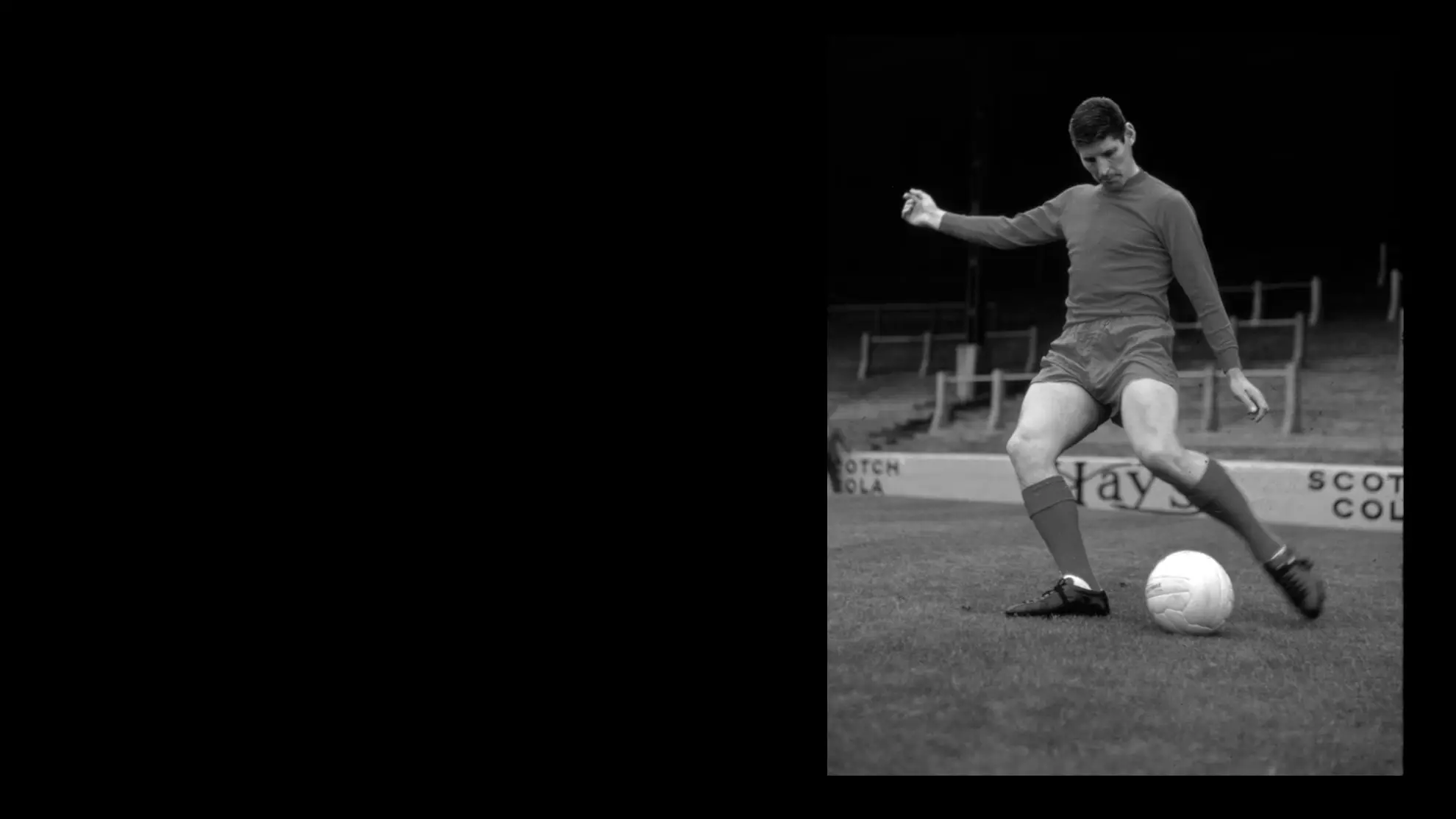 In Memoriam | Ally Shewan image