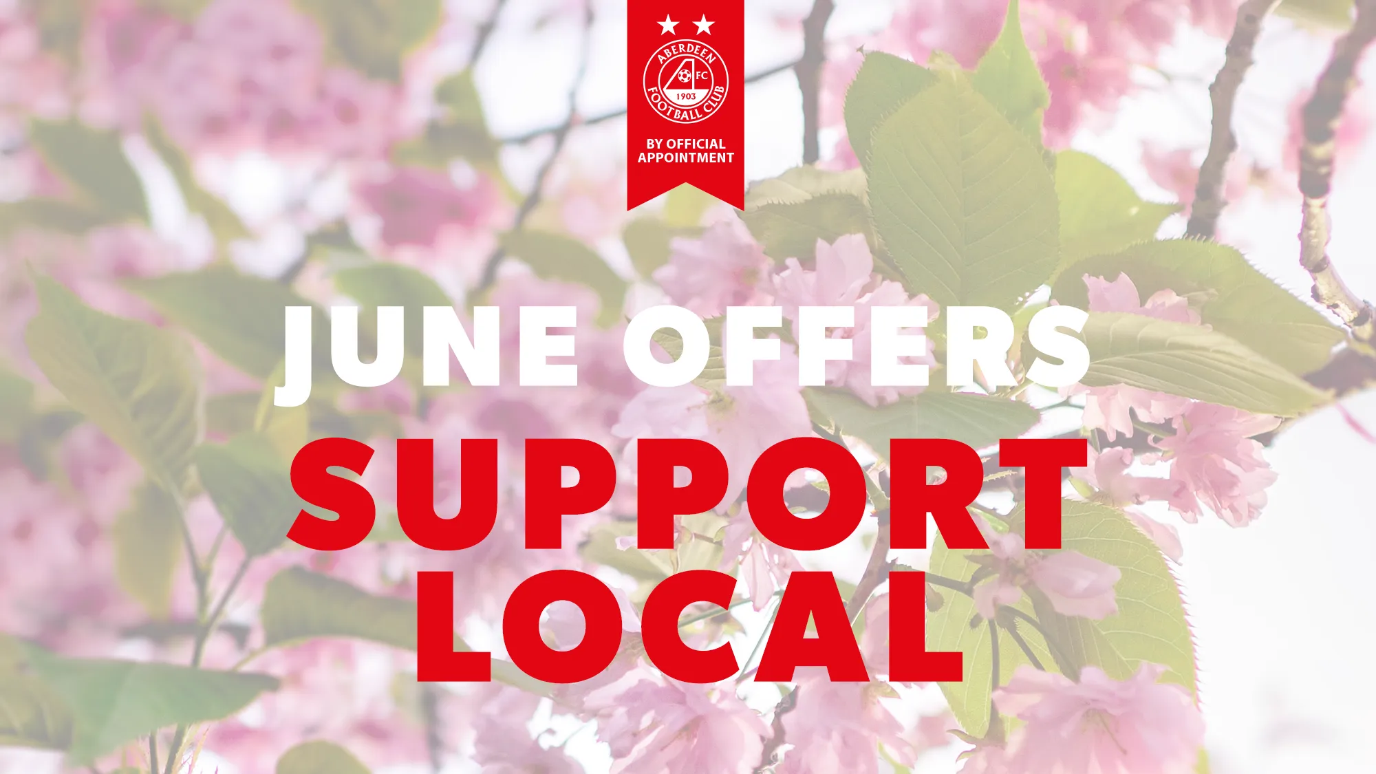 By Official Appointment | June Offers