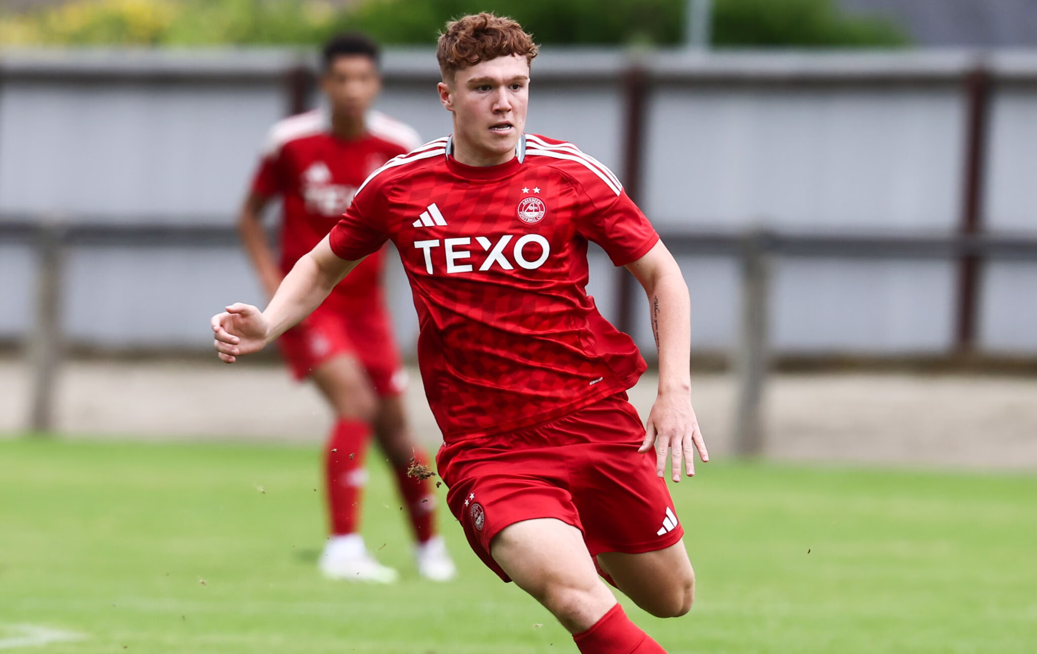 Young Don Heads out on Loan image