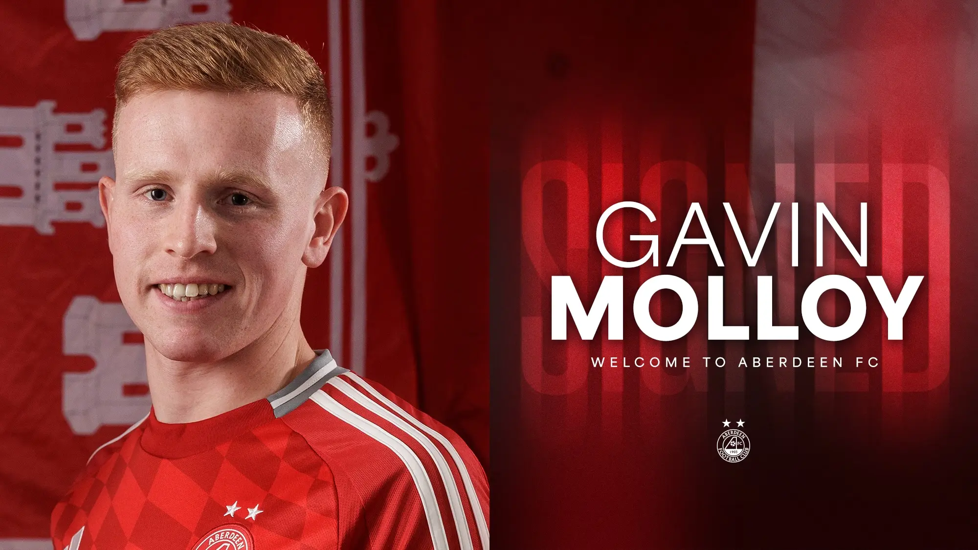 Gavin Molloy is first summer signing image