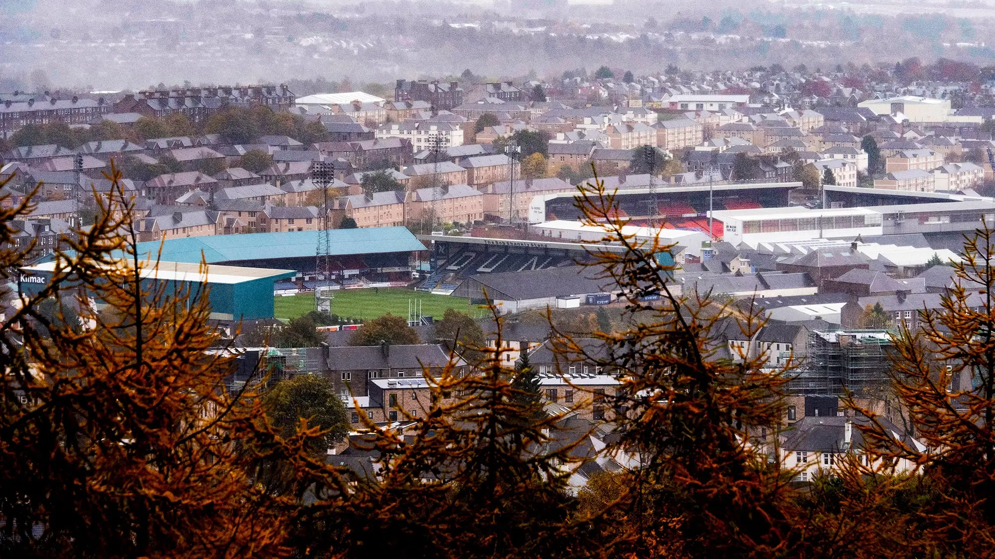 Supporter Information for Dens