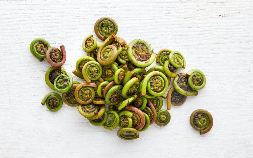 How to Prepare Fiddleheads A StepbyStep Guide Foraged Foraged