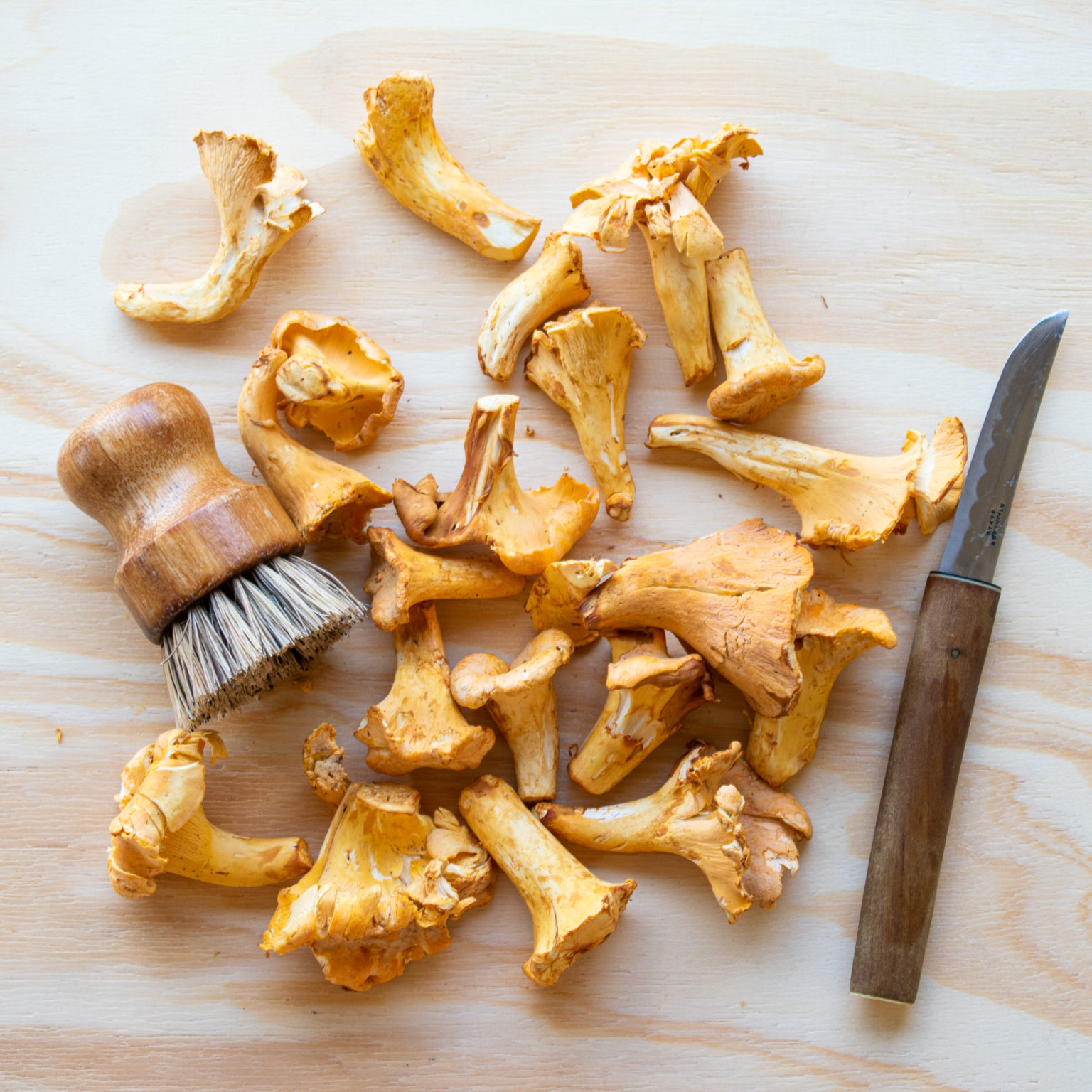Golden Rules for a Delicious Dish How to Cook Golden Chanterelles Foraged Foraged