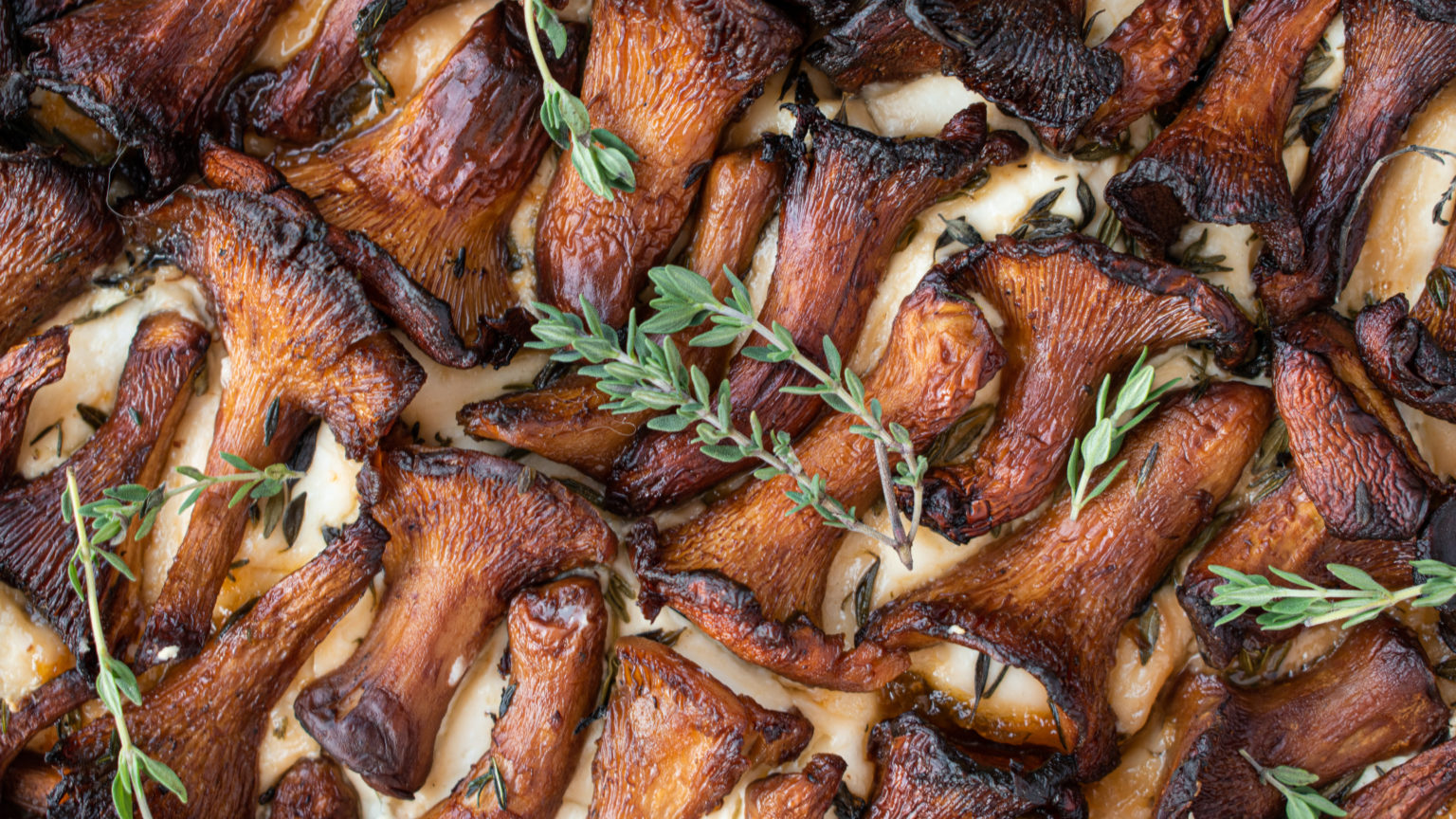 Chanterelle Apricot Tart - Foraged