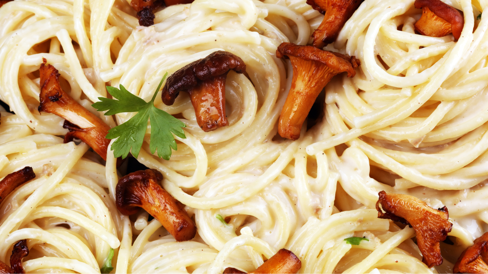 Creamy Chanterelle Mushroom Pasta Recipe - Foraged