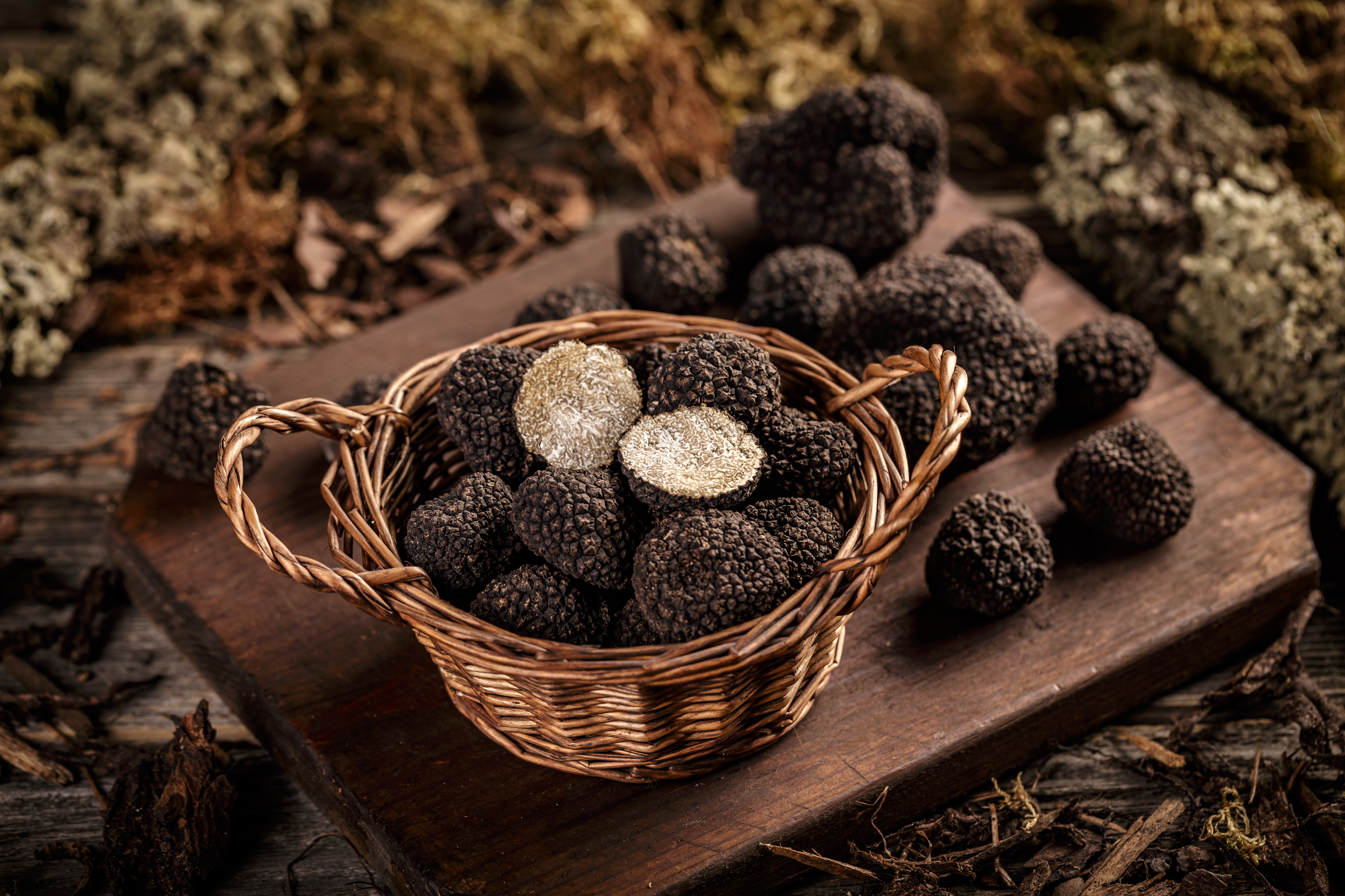 Growing Truffles at Home: Is It Possible? - Foraged - Foraged
