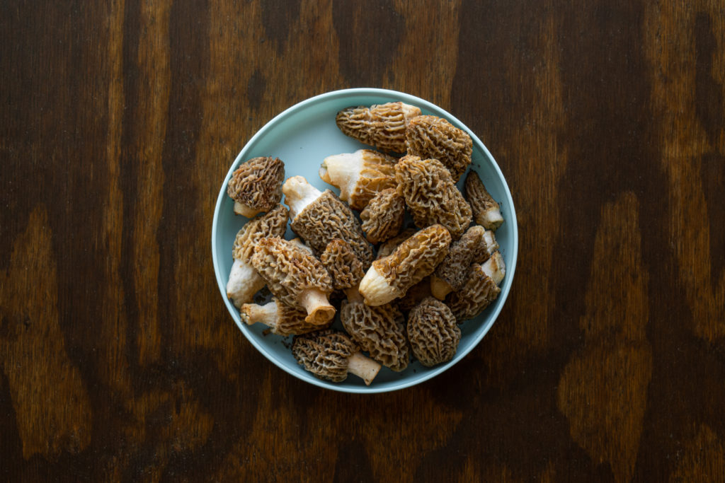 How to Cook Morels Foraged