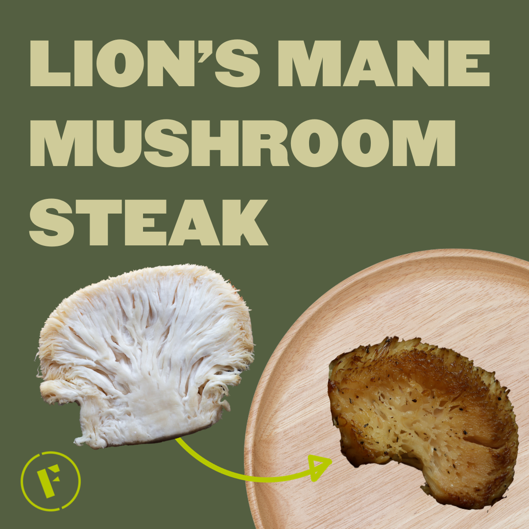Tender Lion's Mane Mushroom Steak - Foraged