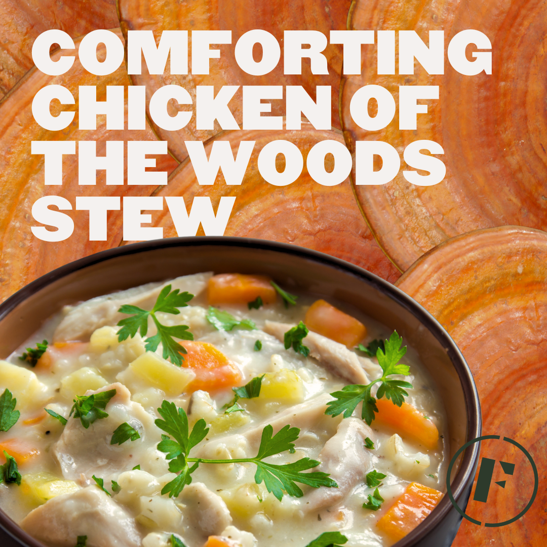 Comforting Chicken of the Woods Stew with Porcini Umami Spice Blend Foraged