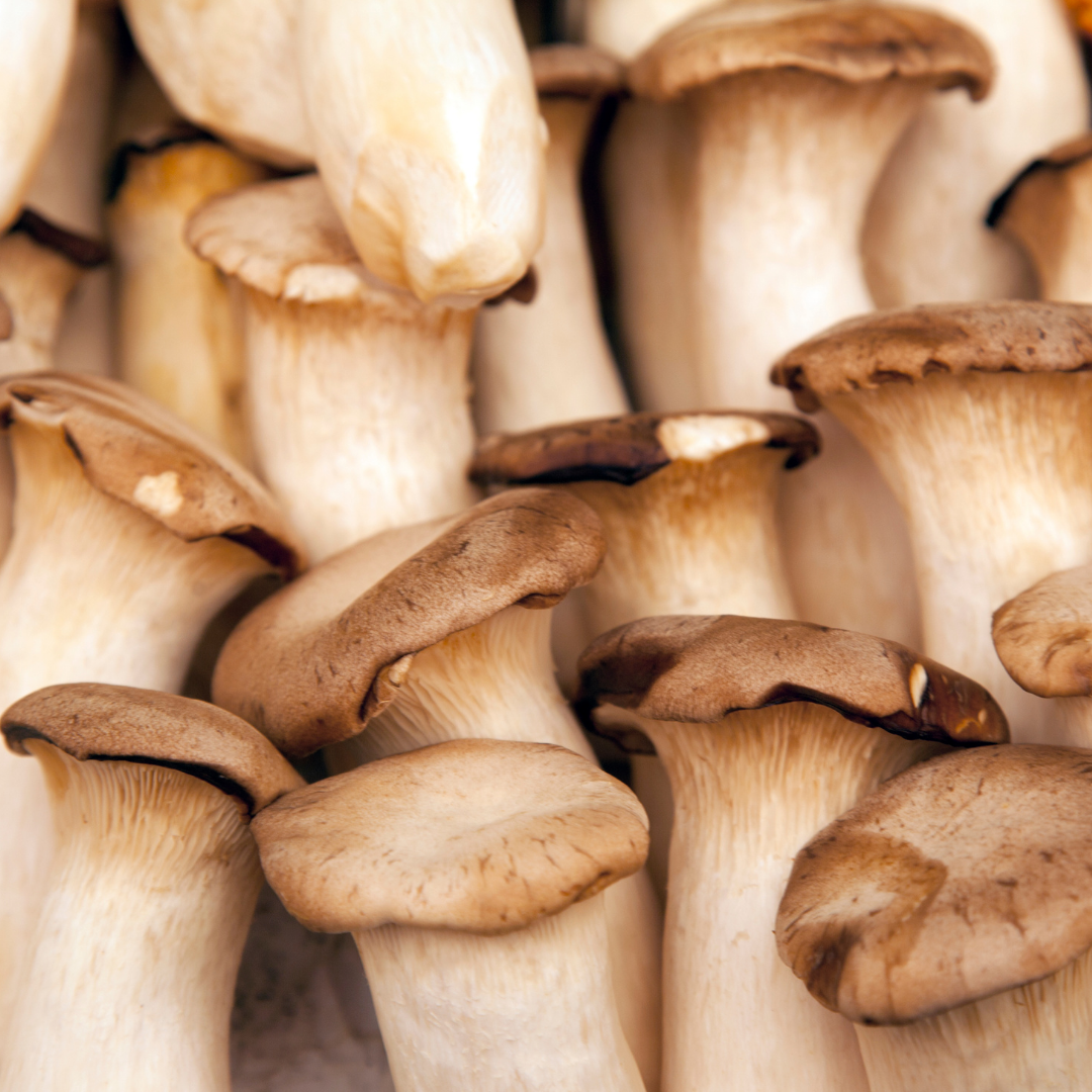 Trumpet Mushroom Scallops with Herb Butter Sauce - Foraged