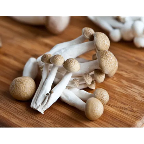 Savoring Earthy Delights: How to Cook Brown Beech Mushrooms for a