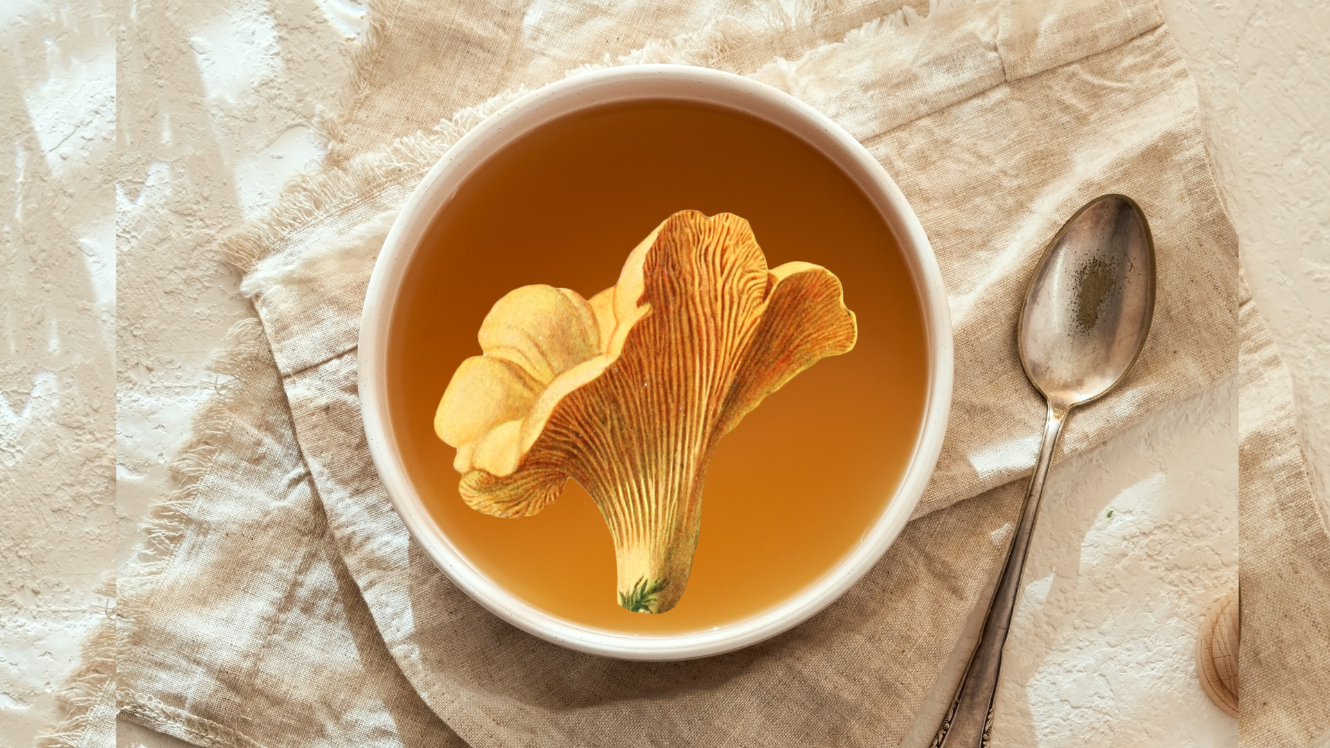Golden Chanterelle Mushroom Soup Recipe - Foraged