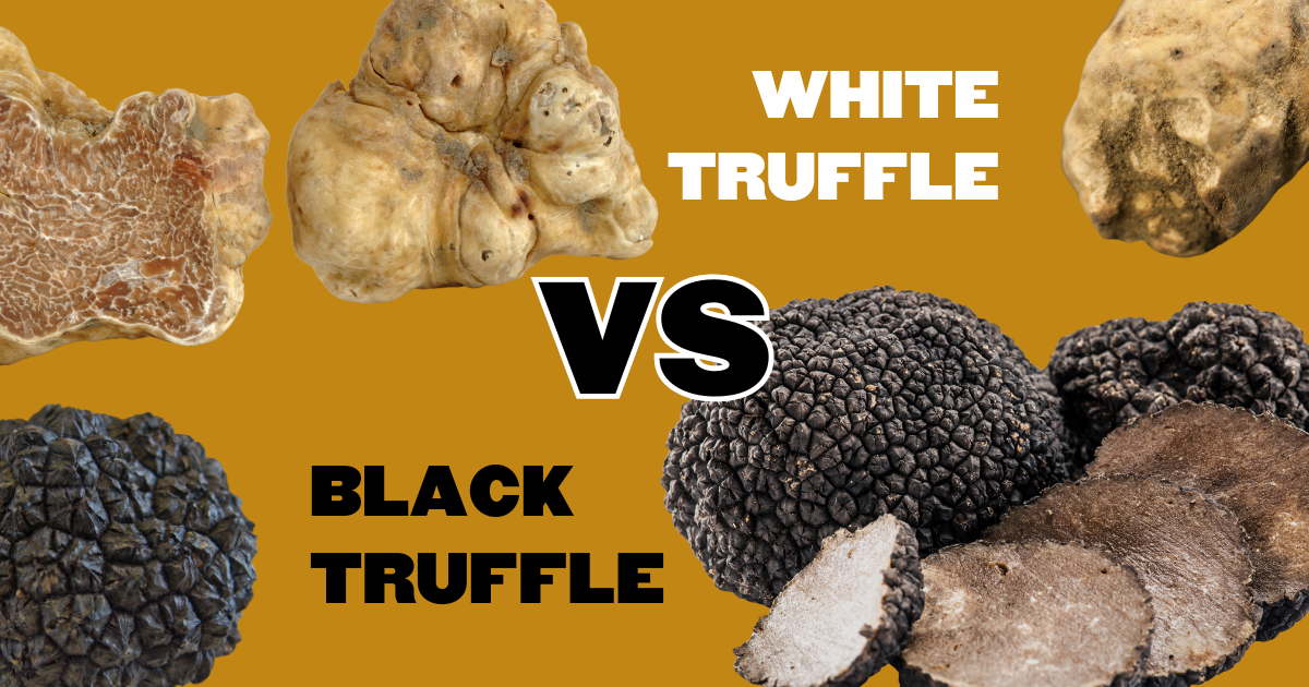 Gourmet Duel White Truffle vs Black Truffle Foraged Foraged