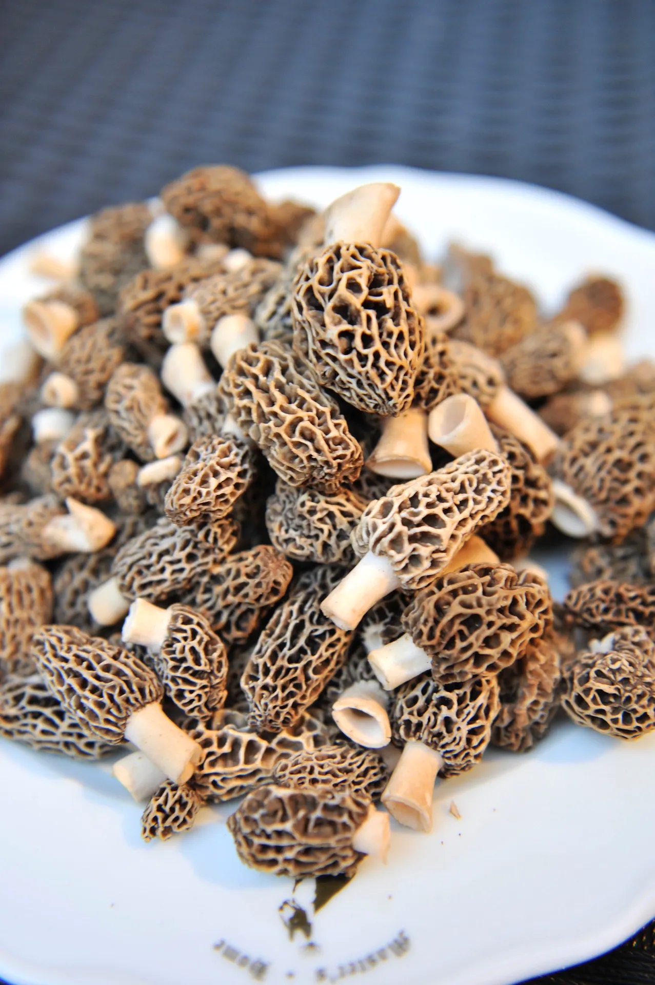 Value Of Delicacy Understanding Prices For Morel Mushrooms Foraged   Price Of Morel Mushrooms 