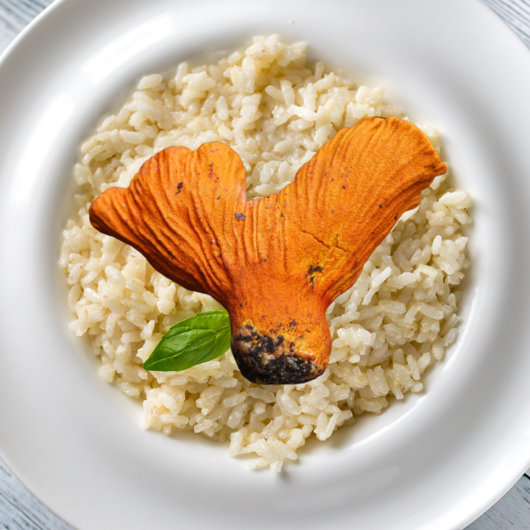 Exquisite Lobster Mushroom Risotto Foraged