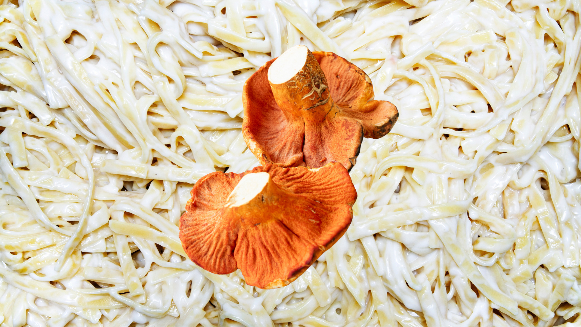 Lobster Mushroom Pasta with Garlic and Herbs Recipe - Foraged