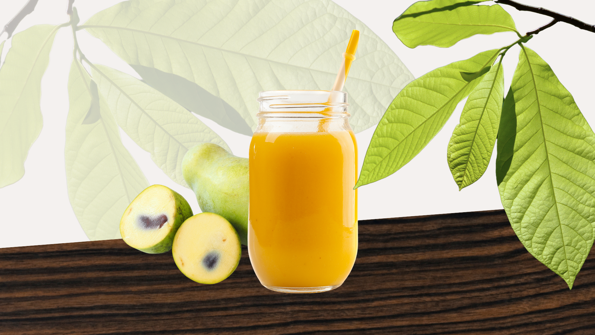 Refreshing Paw Paw Smoothie Recipe - Foraged