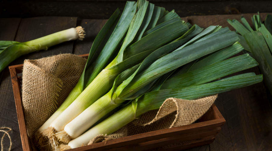 Selling Ramps Where, Why, & How Foraged Foraged