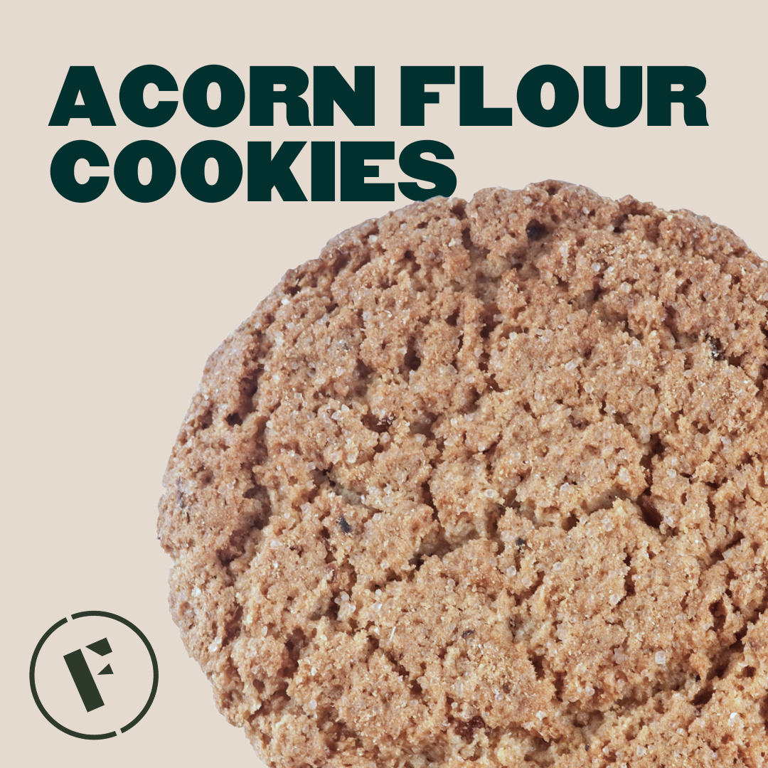 Acorn Flour Cookies - Foraged