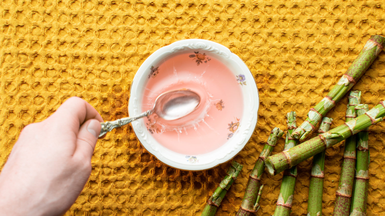 Japanese Knotweed Vinegar Foraged