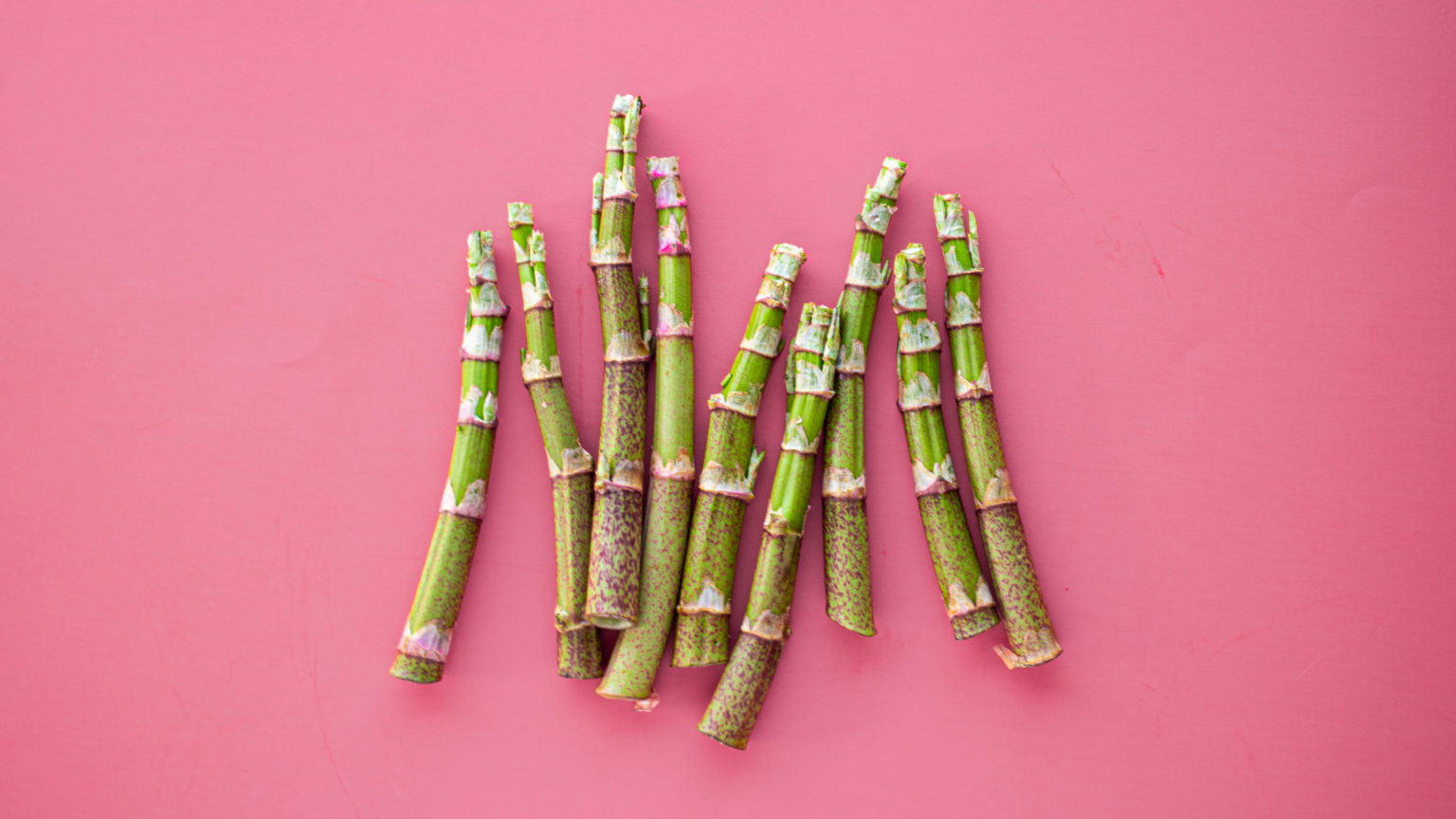 How to Cook Japanese Knotweed Foraged