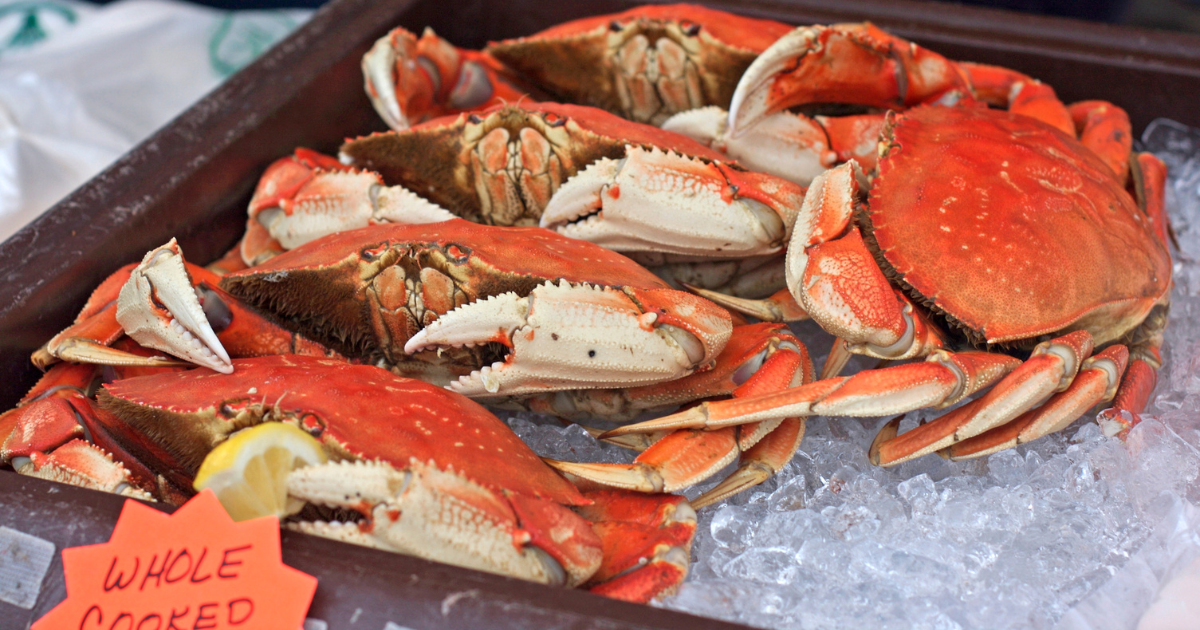 Find The Best Crab: Where to Buy Dungeness Near Me - Foraged - Foraged