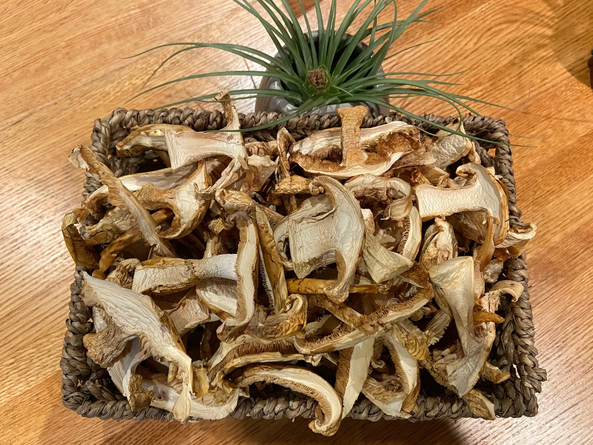 Where to Sell Matsutake Mushroom A Guide to Finding a Market for Your