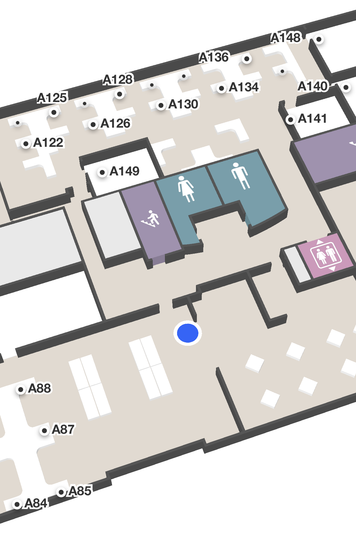 Precise Blue Dot location on a Mappedin office map.