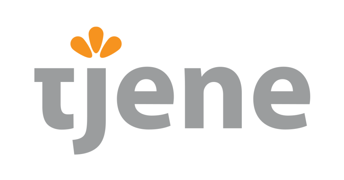 Tjene Consulting Group Logo