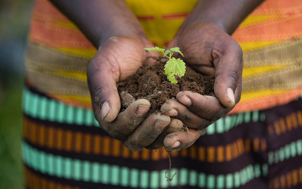 A carbon offsetting levy based on the footprint of each stay at one of our lodges or camps, will allow guests to play a role in our goal of achieving carbon neutrality