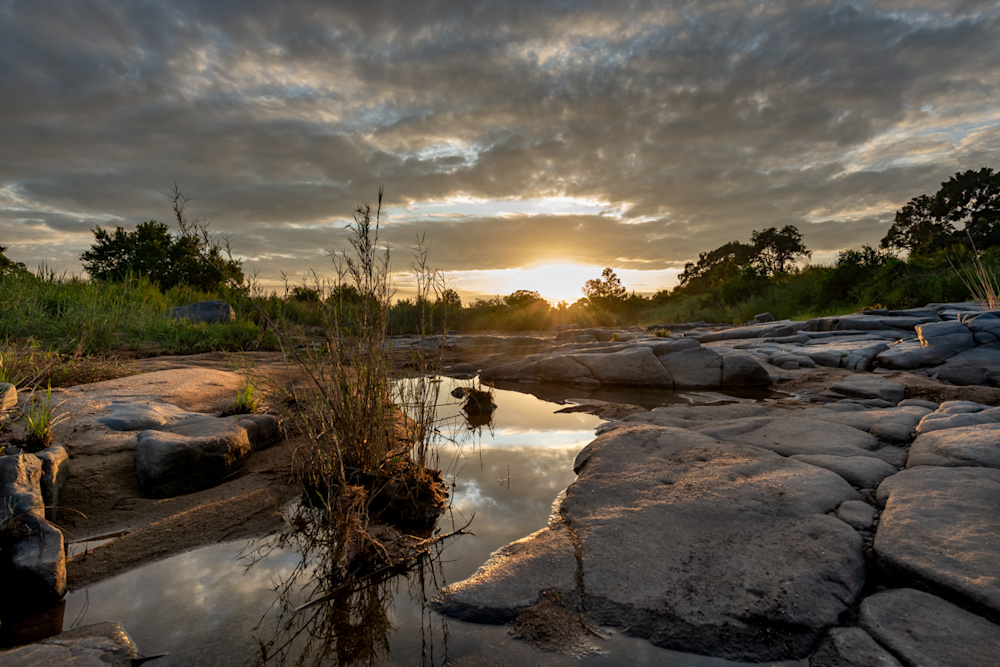 Unanimously regarded by the Andersons as one of their most remarkable travel experiences, Sabi Sand remains a treasured memory