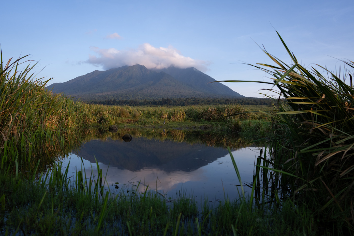 Rewilding Rwanda
