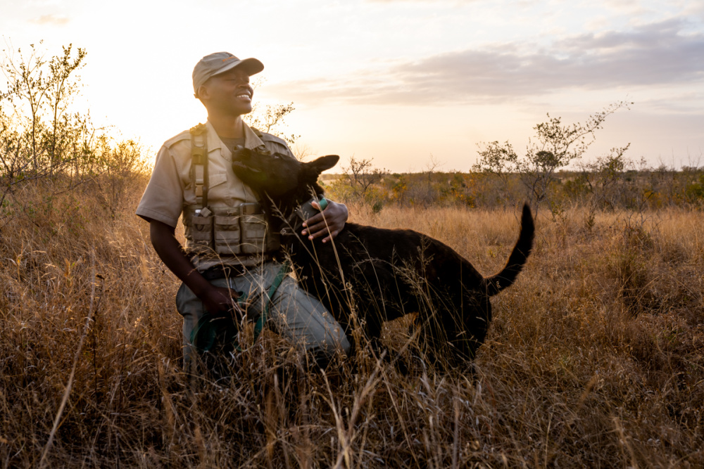 Our Anti-Poaching and K9 units in South Africa, and in other regions, play a vital role in the fight against poachers