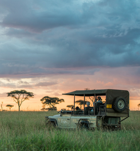 Luxury African Safari Lodges & Wildlife Reserves | Singita