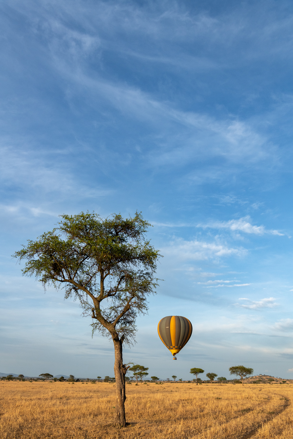 Ways to experience the bush