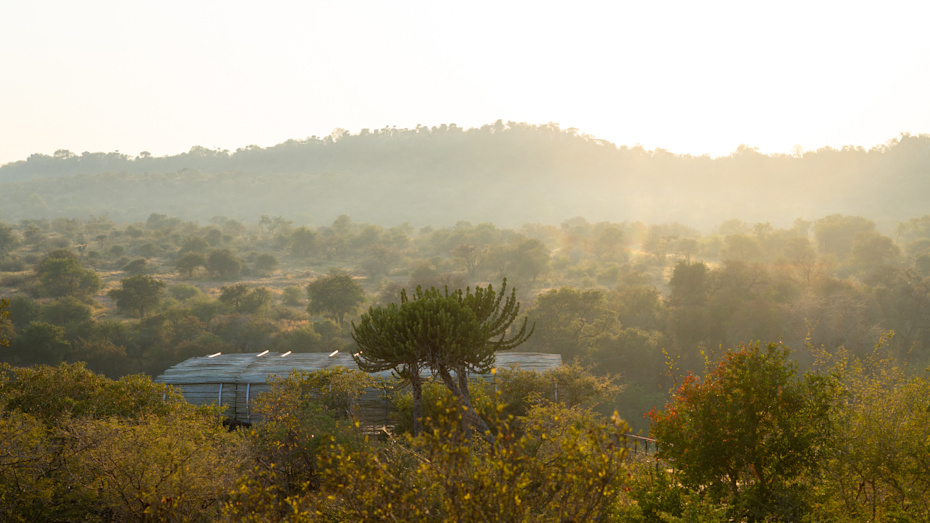 Floating between river and sky.