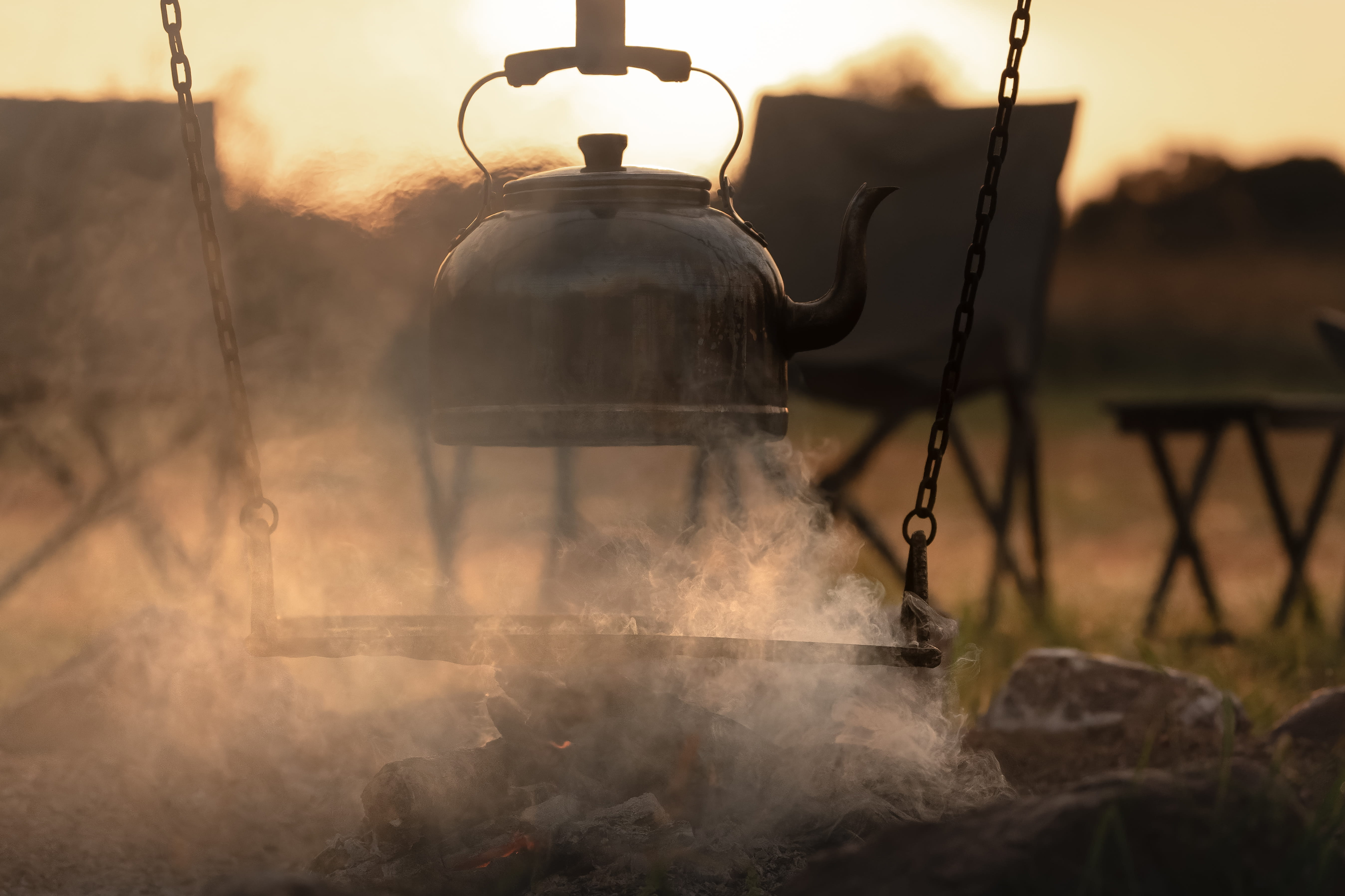 Fire pit beneath the acacias