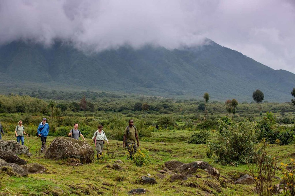 Helping to Conserve Africa’s Magnificent Mountain Gorillas