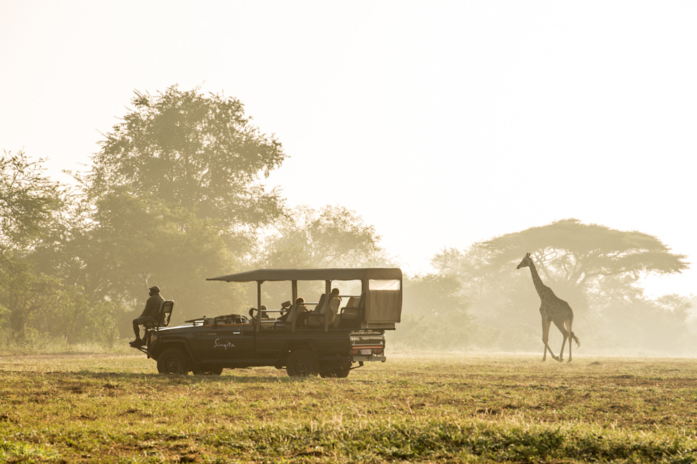 The Malilangwe Wildlife Reserve's unspoilt natural beauty ensures an unparalleled wilderness experience