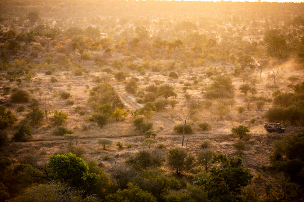 Driven by a deep and lifelong love of the bush, Coman Mnisi's ambition to become a Field Guide has been realised through hard work