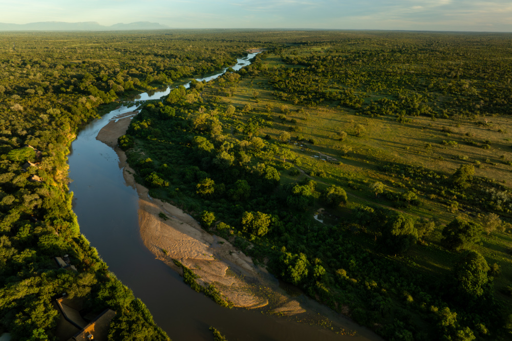 The tireless work over time that has gone into environmental restoration within Singita Sabi Sand has paid off – with perennial water flow reinstated and remarkable game viewing just some of the visible results