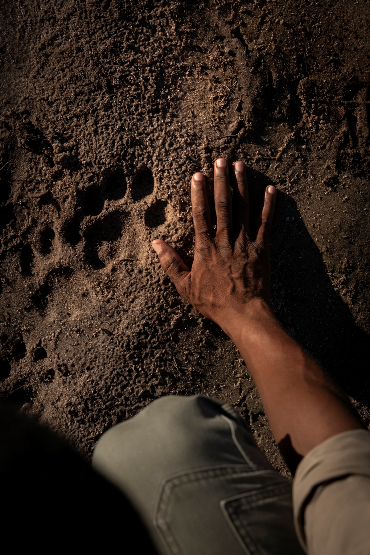 Okavango Delta_Bush Walk_Guide_Tracks and Hand